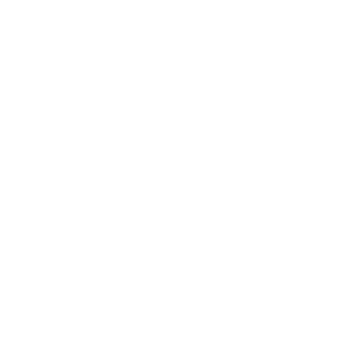 VisionX